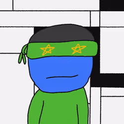 355