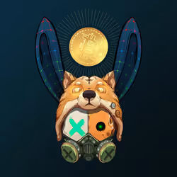 Rebel Rabbit #2837