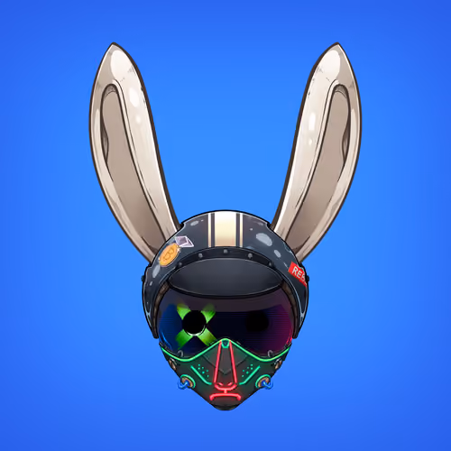 Rebel Rabbit #4847