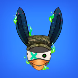 Rebel Rabbit #4794