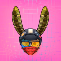 Rebel Rabbit #2983