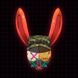Rebel Rabbit #5972