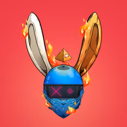 Rebel Rabbit #4980