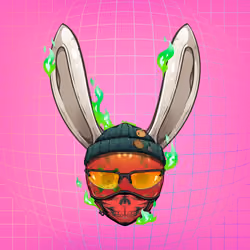 Rebel Rabbit #4959