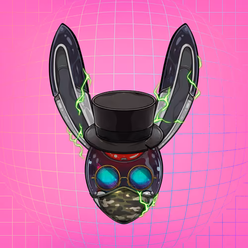 Rebel Rabbit #2905