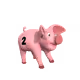 66