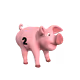 80