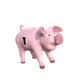 334