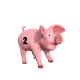 64