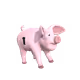 339