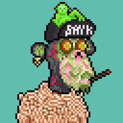 pxMAYC #463