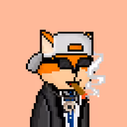 FOXUS #2954
