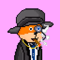 FOXUS #2071