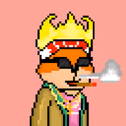 FOXUS #2978