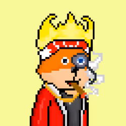 FOXUS #2799