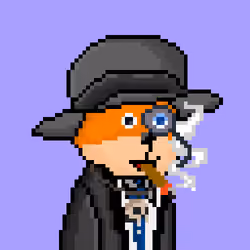 FOXUS #2607