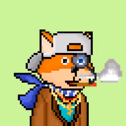 FOXUS #2604