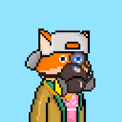 FOXUS #2678
