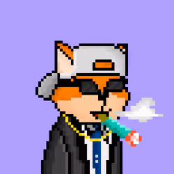 FOXUS #1279