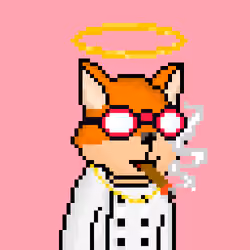 FOXUS #1277