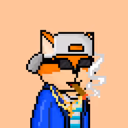 FOXUS #797
