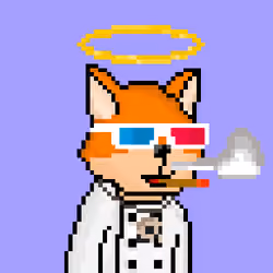 FOXUS #2303