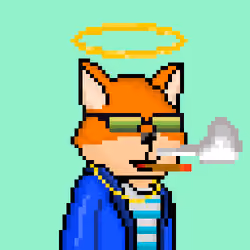 FOXUS #1385