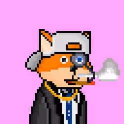 FOXUS #296