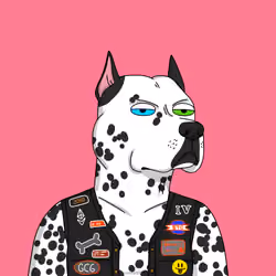 Gutter Dog #3874