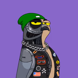 Gutter Pigeon #8390