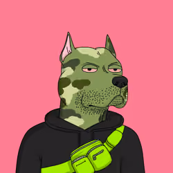 Gutter Dog #4464