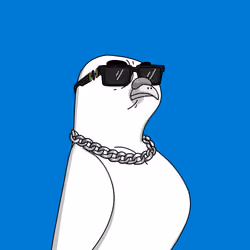 Gutter Pigeon #6028