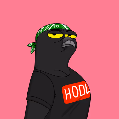 Gutter Pigeon #8965