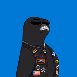 Gutter Pigeon #6706