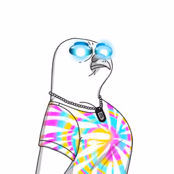 Gutter Pigeon #8014
