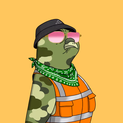 Gutter Pigeon #6370