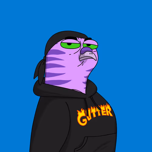 Gutter Pigeon #8864