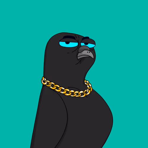 Gutter Pigeon #6169
