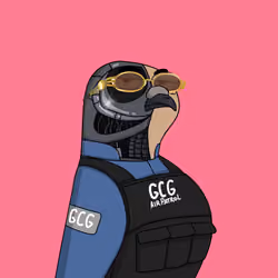 Gutter Pigeon #6343
