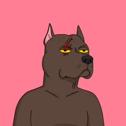 Gutter Dog #4991