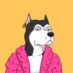 Gutter Dog #4767