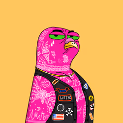 Gutter Pigeon #6725