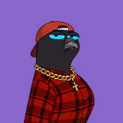 Gutter Pigeon #8017