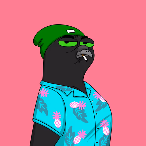 Gutter Pigeon #8618