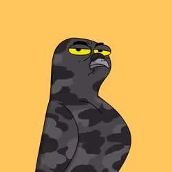 Gutter Pigeon #7045