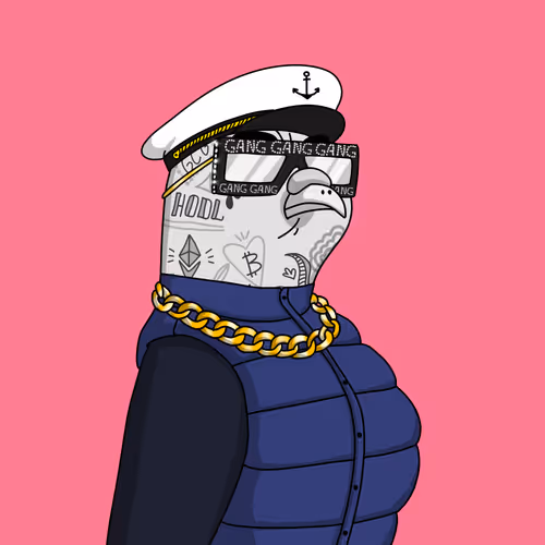 Gutter Pigeon #8007