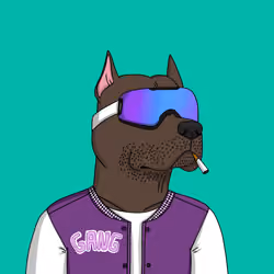 Gutter Dog #3076