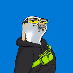 Gutter Pigeon #7672