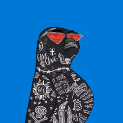 Gutter Pigeon #8702