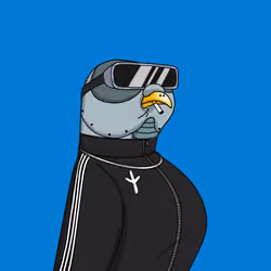 Gutter Pigeon #8397